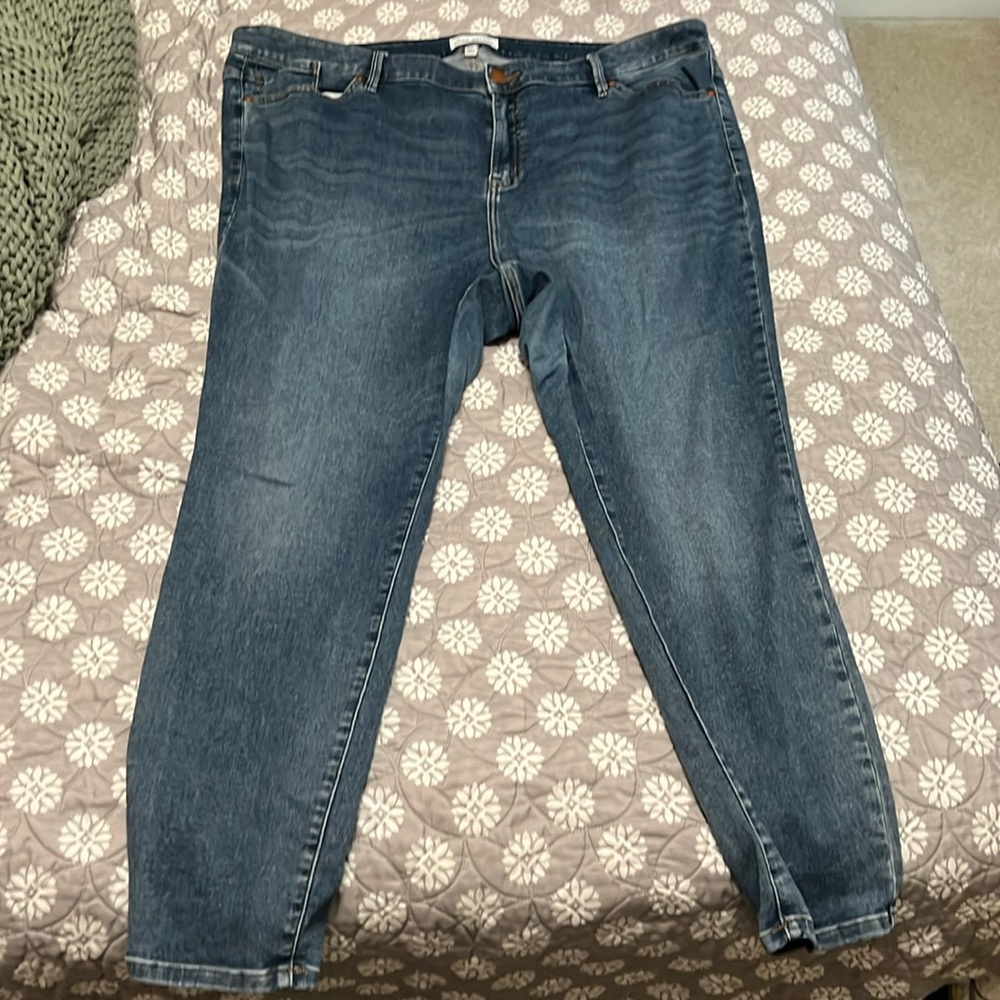 Lane Bryant jeans size 26/28